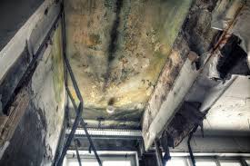 Best Real Estate Mold Inspection  in West Linn, OR